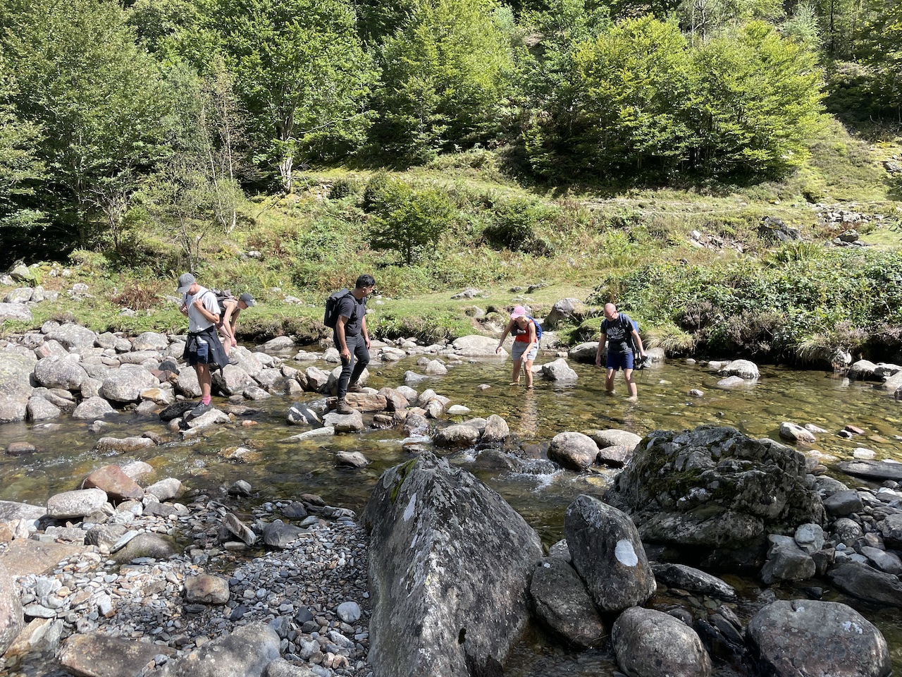 Summer Camp